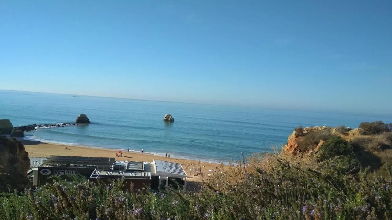 Apartment Albur Village B - Dandelion Alvor
