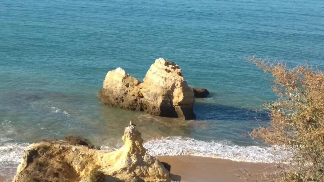 Albur Village B - Dandelion Alvor
